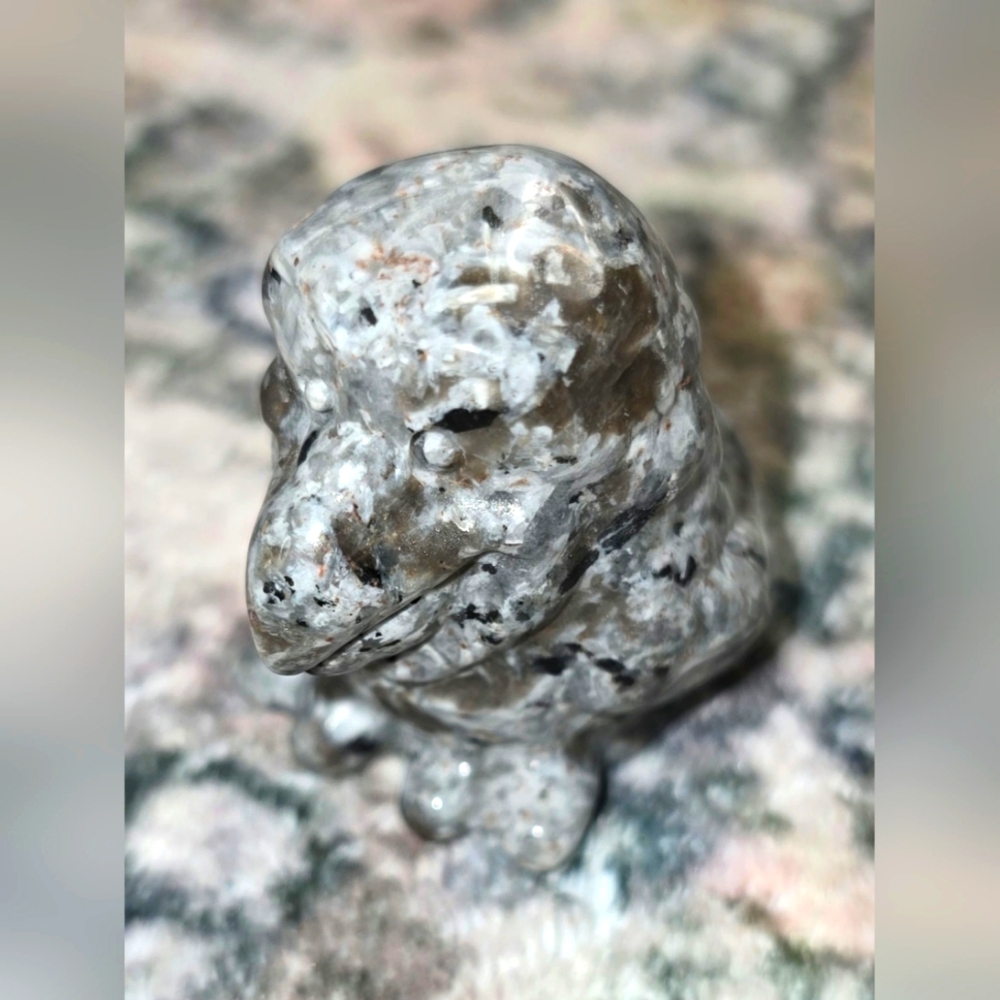 🦜 Natural Yooperlite Stone Tucan Carving